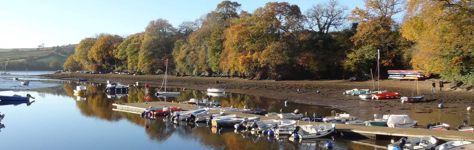 River Dart and Pontoon at Stoke Gabriel